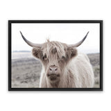 Shop Highland Cow II Photo Canvas Art Print-Animals, Grey, Horizontal, Landscape, Neutrals, Photography, Photography Canvas Prints, Rectangle, View All-framed wall decor artwork