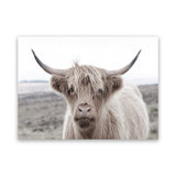 Shop Highland Cow II Photo Canvas Art Print-Animals, Grey, Horizontal, Landscape, Neutrals, Photography, Photography Canvas Prints, Rectangle, View All-framed wall decor artwork