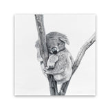 Shop Sleeping Koala (Square) Canvas Art Print-Animals, Grey, Square, View All, White-framed wall decor artwork