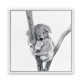 Shop Sleeping Koala (Square) Canvas Art Print-Animals, Grey, Square, View All, White-framed wall decor artwork