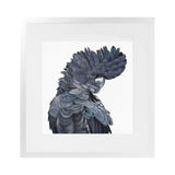 Shop Theo The Black Cockatoo (Square) Art Print-Animals, Birds, Black, Grey, Square, View All-framed painted poster wall decor artwork