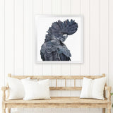 Shop Theo The Black Cockatoo (Square) Art Print-Animals, Birds, Black, Grey, Square, View All-framed painted poster wall decor artwork