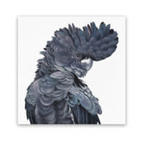 Shop Theo The Black Cockatoo (Square) Art Print-Animals, Birds, Black, Grey, Square, View All-framed painted poster wall decor artwork