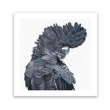 Shop Theo The Black Cockatoo (Square) Art Print-Animals, Birds, Black, Grey, Square, View All-framed painted poster wall decor artwork