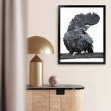 Shop Theo The Black Cockatoo Art Print-Animals, Birds, Black, Grey, Portrait, Rectangle, View All-framed painted poster wall decor artwork