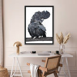 Shop Theo The Black Cockatoo Canvas Art Print-Animals, Birds, Black, Grey, Portrait, Rectangle, View All-framed wall decor artwork