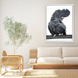 Shop Theo The Black Cockatoo Canvas Art Print-Animals, Birds, Black, Grey, Portrait, Rectangle, View All-framed wall decor artwork