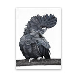 Shop Theo The Black Cockatoo Canvas Art Print-Animals, Birds, Black, Grey, Portrait, Rectangle, View All-framed wall decor artwork
