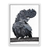 Shop Theo The Black Cockatoo Canvas Art Print-Animals, Birds, Black, Grey, Portrait, Rectangle, View All-framed wall decor artwork
