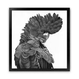 Shop Theo The Black Cockatoo B&W (Square) Art Print-Animals, Birds, Black, Square, View All-framed painted poster wall decor artwork