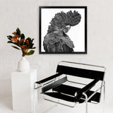 Shop Theo The Black Cockatoo B&W (Square) Art Print-Animals, Birds, Black, Square, View All-framed painted poster wall decor artwork