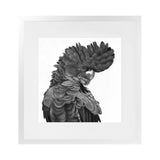 Shop Theo The Black Cockatoo B&W (Square) Art Print-Animals, Birds, Black, Square, View All-framed painted poster wall decor artwork
