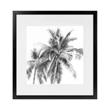 Shop Summer Palms I B&W (Square) Art Print-Black, Coastal, Grey, Square, Tropical, View All, White-framed painted poster wall decor artwork