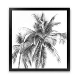Shop Summer Palms I B&W (Square) Art Print-Black, Coastal, Grey, Square, Tropical, View All, White-framed painted poster wall decor artwork