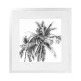 Shop Summer Palms I B&W (Square) Art Print-Black, Coastal, Grey, Square, Tropical, View All, White-framed painted poster wall decor artwork
