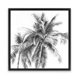 Shop Summer Palms I B&W (Square) Canvas Art Print-Black, Grey, Square, Tropical, View All, White-framed wall decor artwork