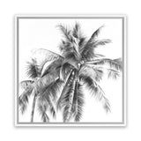 Shop Summer Palms I B&W (Square) Canvas Art Print-Black, Grey, Square, Tropical, View All, White-framed wall decor artwork