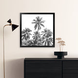 Shop Summer Palms II B&W (Square) Art Print-Black, Coastal, Grey, Square, Tropical, View All-framed painted poster wall decor artwork