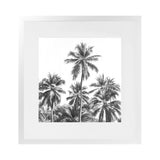 Shop Summer Palms II B&W (Square) Art Print-Black, Coastal, Grey, Square, Tropical, View All-framed painted poster wall decor artwork