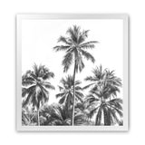 Shop Summer Palms II B&W (Square) Art Print-Black, Coastal, Grey, Square, Tropical, View All-framed painted poster wall decor artwork