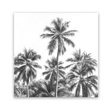Shop Summer Palms II B&W (Square) Art Print-Black, Coastal, Grey, Square, Tropical, View All-framed painted poster wall decor artwork