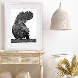 Shop Theo The Black Cockatoo (B&W) Art Print-Animals, Birds, Black, Portrait, Rectangle, View All-framed painted poster wall decor artwork