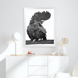 Shop Theo The Black Cockatoo (B&W) Art Print-Animals, Birds, Black, Portrait, Rectangle, View All-framed painted poster wall decor artwork