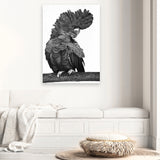 Shop Theo The Black Cockatoo (B&W) Canvas Art Print-Animals, Birds, Black, Portrait, Rectangle, View All-framed wall decor artwork