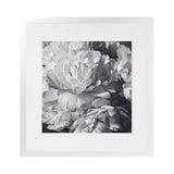 Shop Les Fleurs (Square) Art Print-Botanicals, Florals, Square, View All, White-framed painted poster wall decor artwork