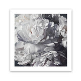 Shop Les Fleurs (Square) Art Print-Botanicals, Florals, Square, View All, White-framed painted poster wall decor artwork