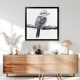 Shop Kookaburra On A Branch (Square) Art Print-Animals, Birds, Black, Grey, Square, View All, White-framed painted poster wall decor artwork