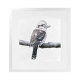 Shop Kookaburra On A Branch (Square) Art Print-Animals, Birds, Black, Grey, Square, View All, White-framed painted poster wall decor artwork