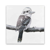 Shop Kookaburra On A Branch (Square) Art Print-Animals, Birds, Black, Grey, Square, View All, White-framed painted poster wall decor artwork