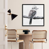 Shop Kookaburra On A Branch (Square) Canvas Art Print-Animals, Birds, Black, Grey, Square, View All, White-framed wall decor artwork