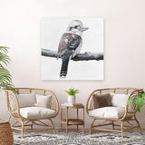 Shop Kookaburra On A Branch (Square) Canvas Art Print-Animals, Birds, Black, Grey, Square, View All, White-framed wall decor artwork