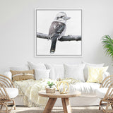 Shop Kookaburra On A Branch (Square) Canvas Art Print-Animals, Birds, Black, Grey, Square, View All, White-framed wall decor artwork