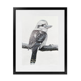 Shop Kookaburra On A Branch Art Print-Animals, Birds, Black, Grey, Portrait, Rectangle, View All-framed painted poster wall decor artwork