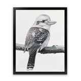 Shop Kookaburra On A Branch Art Print-Animals, Birds, Black, Grey, Portrait, Rectangle, View All-framed painted poster wall decor artwork