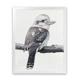 Shop Kookaburra On A Branch Art Print-Animals, Birds, Black, Grey, Portrait, Rectangle, View All-framed painted poster wall decor artwork