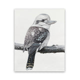 Shop Kookaburra On A Branch Art Print-Animals, Birds, Black, Grey, Portrait, Rectangle, View All-framed painted poster wall decor artwork