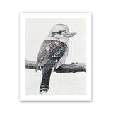 Shop Kookaburra On A Branch Art Print-Animals, Birds, Black, Grey, Portrait, Rectangle, View All-framed painted poster wall decor artwork