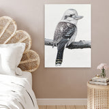 Shop Kookaburra On A Branch Canvas Art Print-Animals, Birds, Black, Grey, Portrait, Rectangle, View All-framed wall decor artwork
