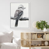 Shop Kookaburra On A Branch Canvas Art Print-Animals, Birds, Black, Grey, Portrait, Rectangle, View All-framed wall decor artwork