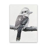 Shop Kookaburra On A Branch Canvas Art Print-Animals, Birds, Black, Grey, Portrait, Rectangle, View All-framed wall decor artwork