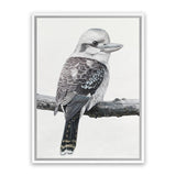 Shop Kookaburra On A Branch Canvas Art Print-Animals, Birds, Black, Grey, Portrait, Rectangle, View All-framed wall decor artwork
