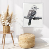 Shop Kookaburra On A Branch Art Print-Animals, Birds, Black, Grey, Portrait, Rectangle, View All-framed painted poster wall decor artwork