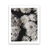 Shop Vintage Blooms II Art Print-Black, Botanicals, Florals, Portrait, Rectangle, View All-framed painted poster wall decor artwork