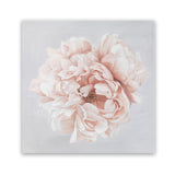 Shop Pastel Peony (Square) Art Print-Botanicals, Florals, Pink, Square, View All-framed painted poster wall decor artwork