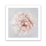 Shop Pastel Peony (Square) Art Print-Botanicals, Florals, Pink, Square, View All-framed painted poster wall decor artwork