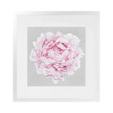 Shop Pink Peony II (Square) Art Print-Botanicals, Florals, Grey, Pink, Square, View All-framed painted poster wall decor artwork